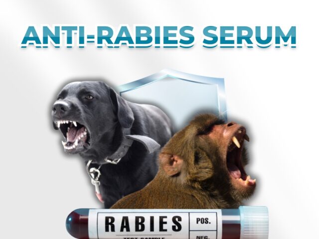 Rabies and Anti-Rabies Serum (SAR): What You Need to Know