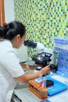 Laboratory